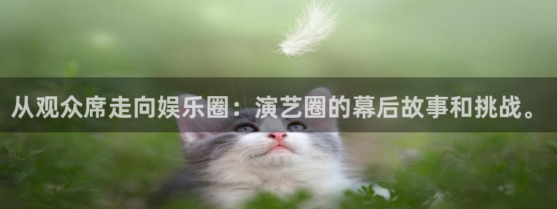 万向娱乐注册：从观众席走向娱乐圈：演艺圈的幕后故事和挑战。