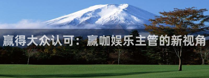 万向娱乐注册登录：赢得大众认可：赢咖娱乐主管的新视角