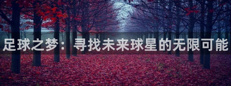 万向娱乐app：足球之梦：寻找未来球星的无限可能