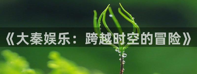 万向娱乐app：《大秦娱乐：跨越时空的冒险》