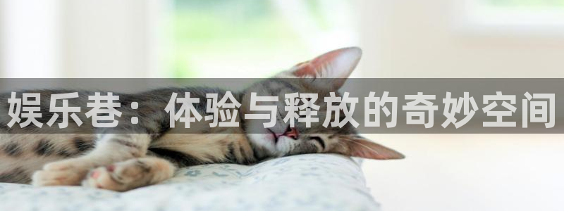 万向娱乐注册：娱乐巷：体验与释放的奇妙空间