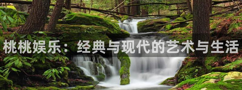 万向娱乐注册登录：桃桃娱乐：经典与现代的艺术与生活