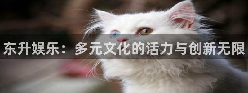 万向娱乐注册：东升娱乐：多元文化的活力与创新无限