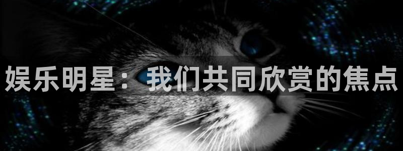 万向娱乐注册：娱乐明星：我们共同欣赏的焦点