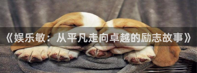 万向娱乐app：《娱乐敏：从平凡走向卓越的励志故事》