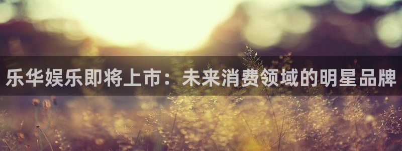 万向娱乐：乐华娱乐即将上市：未来消费领域的明星品牌