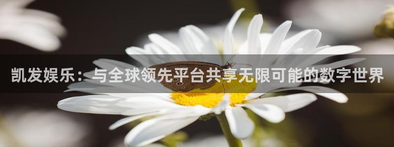 万向娱乐注册登录：凯发娱乐：与全球领先平台共享无限可能的数字世界