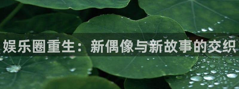 万向娱乐app：娱乐圈重生：新偶像与新故事的交织