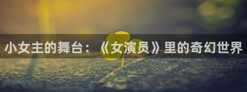 万向娱乐app