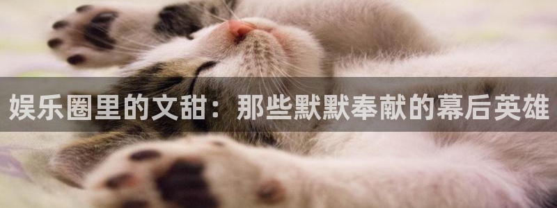 万向娱乐app：娱乐圈里的文甜：那些默默奉献的幕后英雄