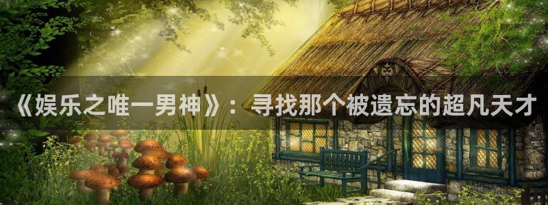万向娱乐app：《娱乐之唯一男神》：寻找那个被遗忘的超凡天才